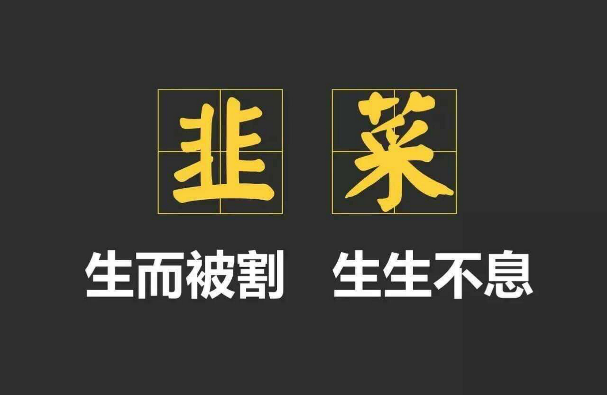 被骗割韭菜文稿收集，描述一下你是如何被骗的。-星赚网