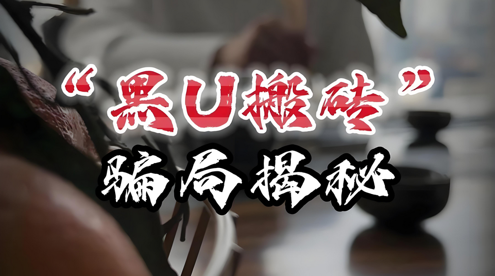 黑U搬砖，专门收割小白，号称1:1.2返U，杀猪盘项目拆解-星赚网